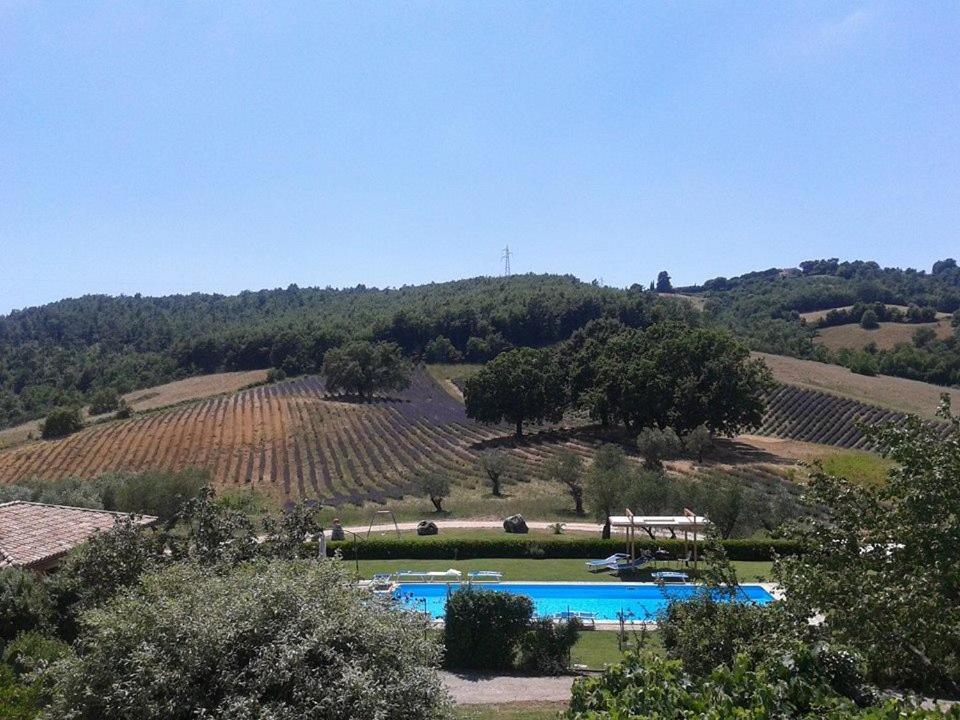 Villa Il Poggio Di Teo Manciano Exterior foto