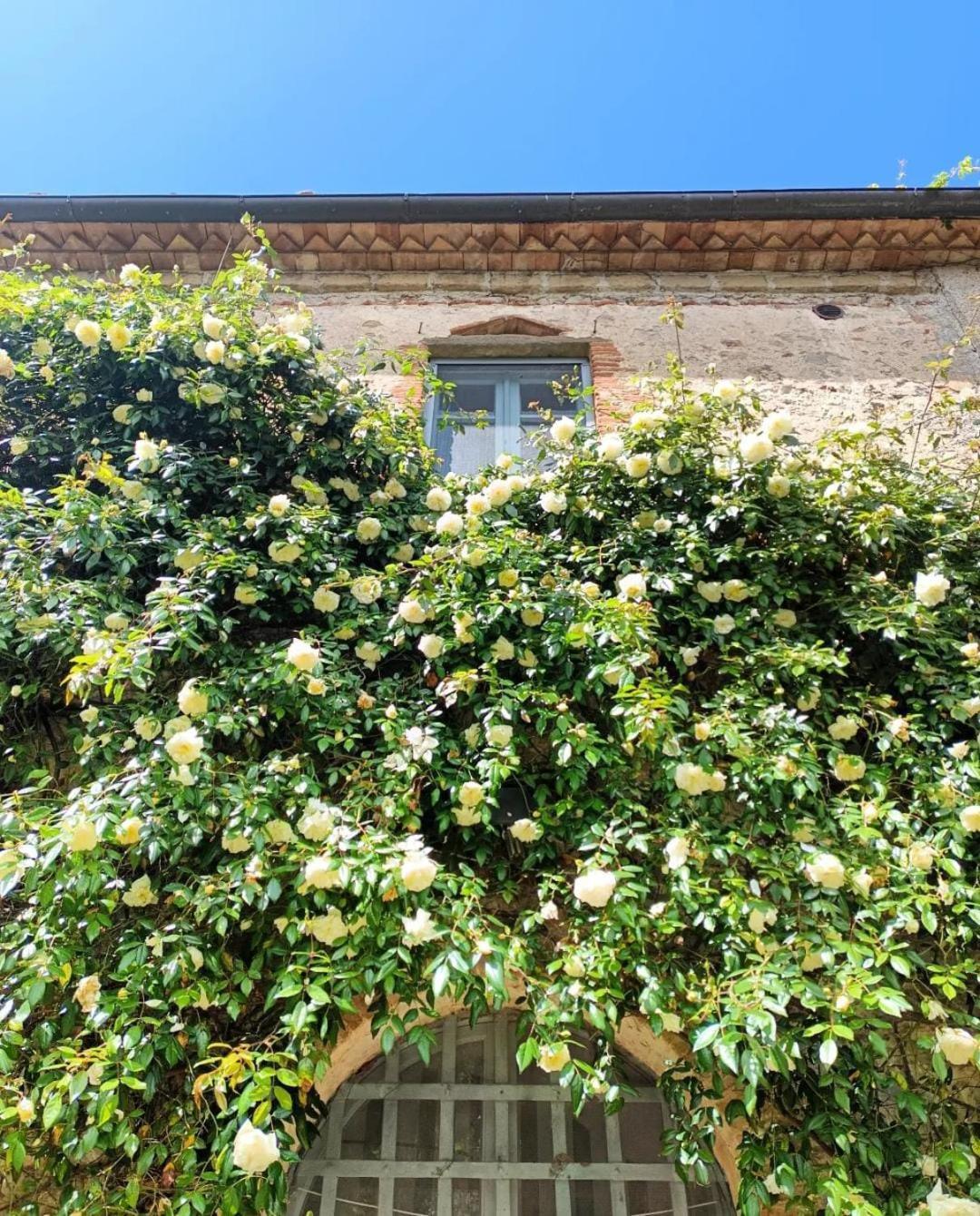 Villa Il Poggio Di Teo Manciano Exterior foto