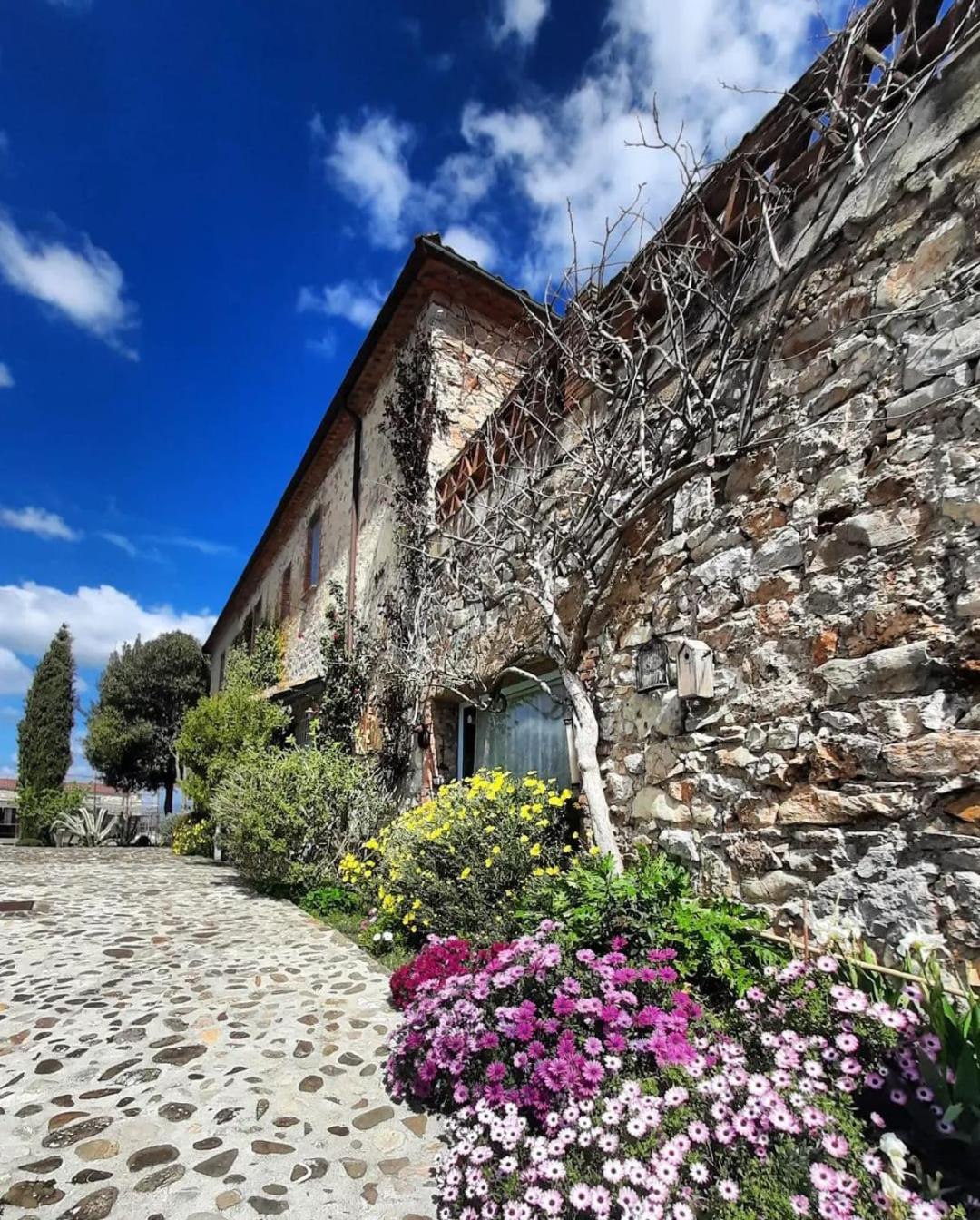 Villa Il Poggio Di Teo Manciano Exterior foto